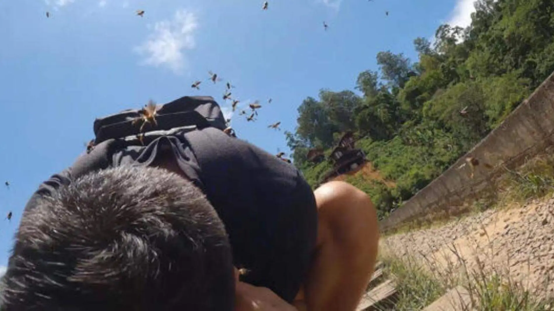 Turistas son atacados por enjambre de abejas y se vuelve viral